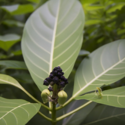 ¿Por qué ‘Shazam’ y ‘Black Adam’ son tan parecidos?
