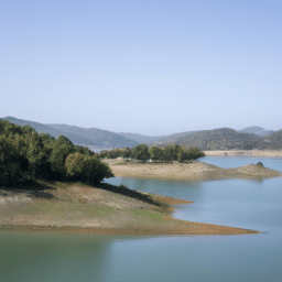 ¿Quién Metió a la Cosa del Pantano en el Baño de DC Cómics?