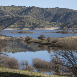 ¡Cómo Venimos del Cieno: La Historia Detrás de la Cosa del Pantano!