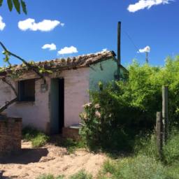 Busca a Gatúbela: ¿Dónde está su Casa?