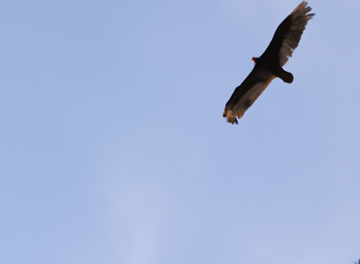 Superman: Descubre por qué volar es uno de sus increíbles poderes