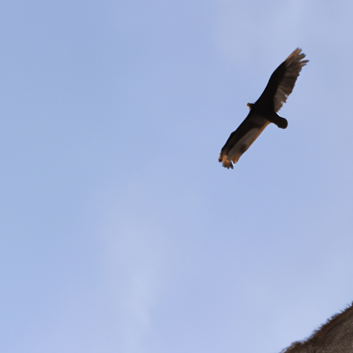 Superman: Descubre por qué volar es uno de sus increíbles poderes