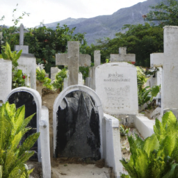 ¡La gata nueve vidas de Catwoman: ¡Descubre sus poderes!