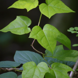 ¡Ríele al Siguiente Villano de Batman!