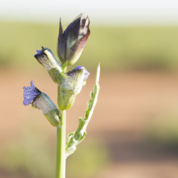 ¡Que pelea tan grande! ¿Quién ganará? Thor vs Thanos de Marvel