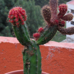 ¿El Logan de X-Men? ¡Es un Mutante Muy Especial!